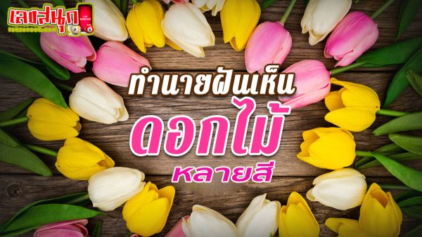 ฝันเห็นดอกไม้หลากสี-"Dream of seeing colorful flowers"