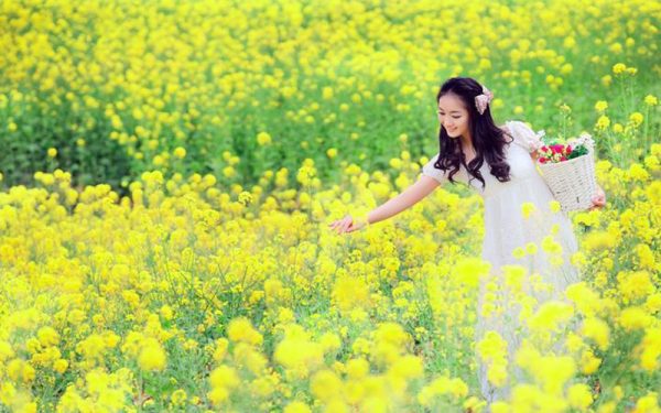 ฝันเห็น ดอกไม้ เลขเด็ด-"Dream of seeing flowers, lucky numbers"