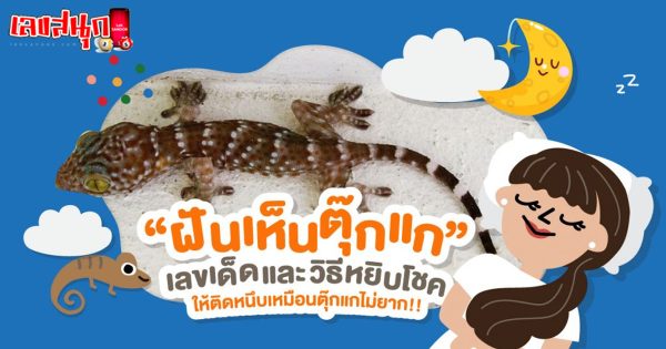 ฝันว่าตุ๊กแกวิ่งไล่-"Dreaming of a gecko chasing you"