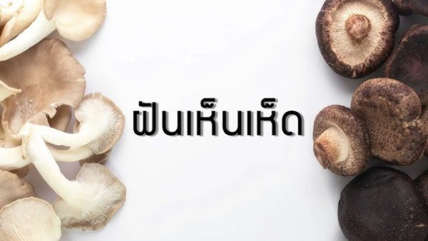 ฝันว่าได้เก็บเห็ด - "Dreamed of picking mushrooms"