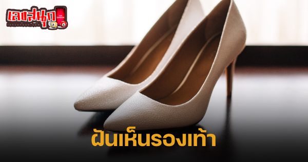 ฝันเห็นรองเท้าใหม่1คู่-"fun numbers beliefs"