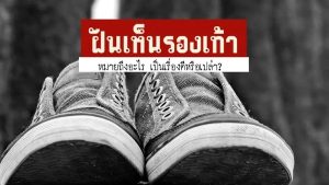 ฝันเห็นรองเท้าแตะ-"Dreaming of seeing slippers, lucky numbers"