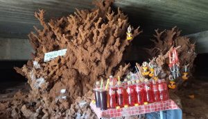 พญาจอมปลวกยักษ์-"Giant Termite Hill Phaya Lucky Numbers"