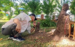 จอมปลวกพ่อแม่ลูก 9 รัง-"Lucky number anthill"