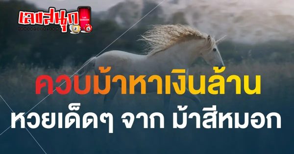 ม้าสีหมอก 16 12 66 - "famous people's fun numbers"