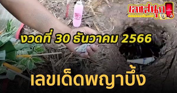 เลขพญาบึ้ง 30 12 66-"Phaya Bueng number 30 12 66"