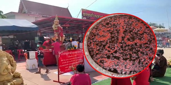 เลขหวยไทยรัฐงวดนี้-"Thairath lottery numbers for this period"