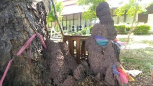 จอมปลวกพ่อแม่ลูก 9 รัง-"anthill"