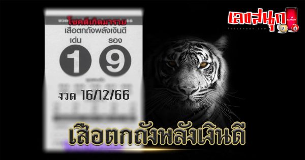 เสือตกถัง 16 12 66-"Suea Tok Tang 16 12 66"