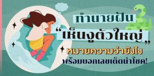 ฝันเห็นงูตัวใหญ่สีดํา 1 ตัว-"Dream of seeing a snake"