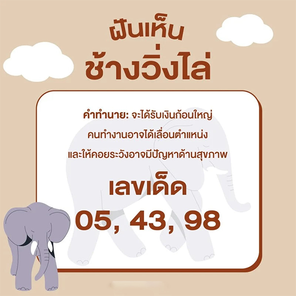 ฝันเห็นช้างถูกหวย-"Dream of seeing an elephant chasing you"