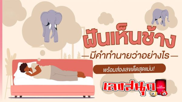 ฝันเห็นช้างถูกหวย-"Dream of seeing an elephant win the lottery"