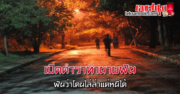 ฝันว่าโดนไล่ล่าแต่หนีได้ - "Dreamed of being chased but managed to escape."