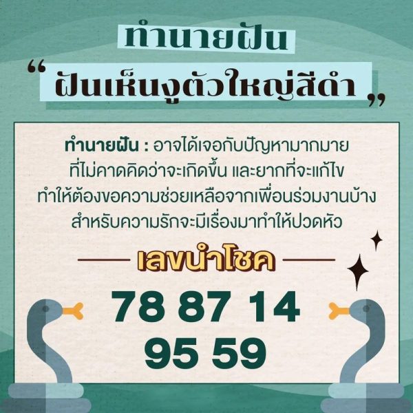 ฝันเห็นงูตัวใหญ่สีดํา 1 ตัว-"Dreamed of seeing a black snake, lucky number."