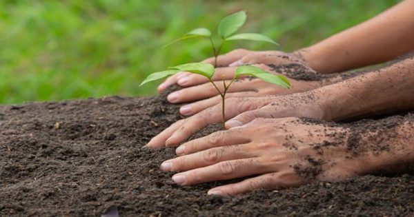 ฝันว่าขุดดิน เลขเด็ด - " Dreaming about digging the ground, lucky numbers "