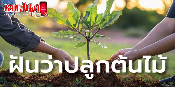 ฝันว่าได้ปลูกต้นไม้มงคล - "Dreaming of planting auspicious trees"
