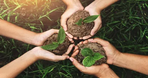 ฝันว่าขุดดินปลูกต้นไม้ - " dreaming-of-digging-soil-to-plant-trees "