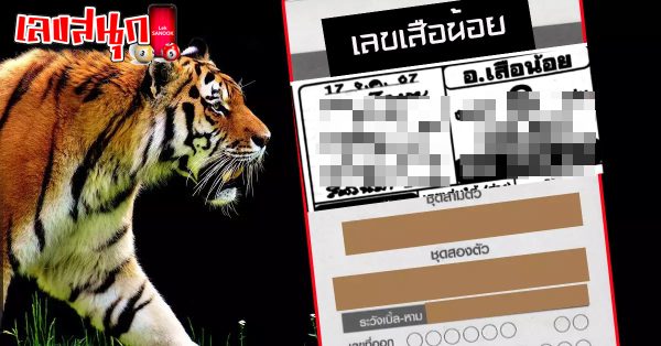 เลขเสือน้อย 17 01 67-"Little tiger number 17-01-67"