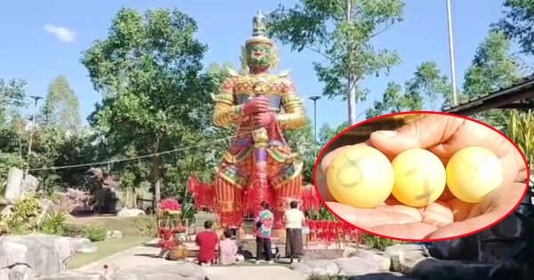 เลขไหปิงปองท้าวเวส-"Picking up a jar of ping pong balls"