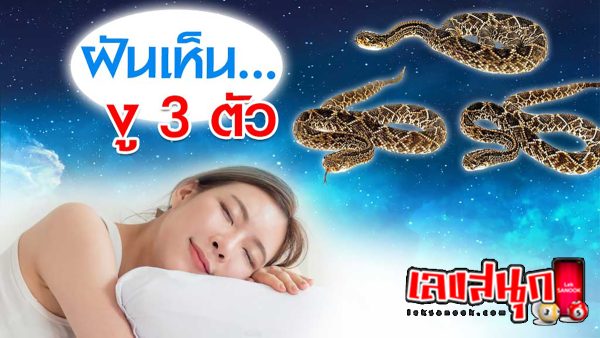 ฝันเห็นงู 3 ตัว-"Dream of seeing 3 snakes"