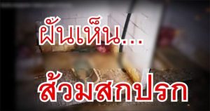 ฝันเห็นห้องน้ำสกปรก -"Dream of seeing a dirty bathroom"