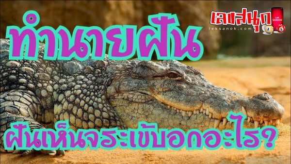 ฝันว่าจระเข้กัด-"Dream that a crocodile bites"