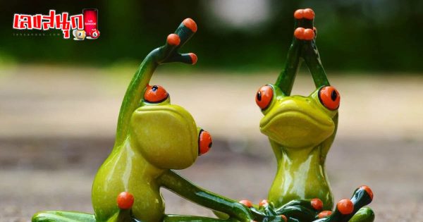 ฝันว่าได้จับกบ2ตัว 2มือ - "Dreamed of holding 2 frogs with 2 hands"