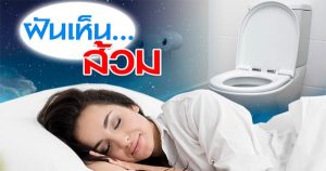 ฝันเห็นห้องน้ำ โทรม ๆ -"Dream of seeing a shabby bathroom"