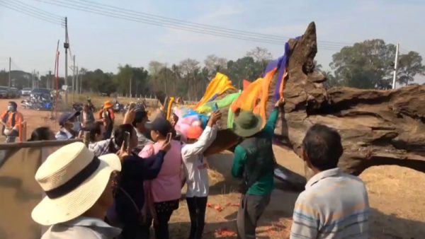 แห่ขอโชคต้นตะเคียน-"Procession to ask for luck at the Takhian tree."