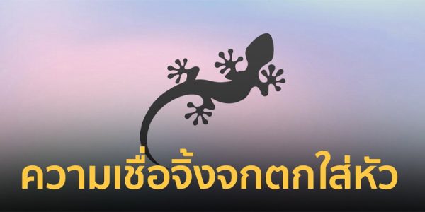จิ้งจกตกใส่หัว-"lizard falls on head"