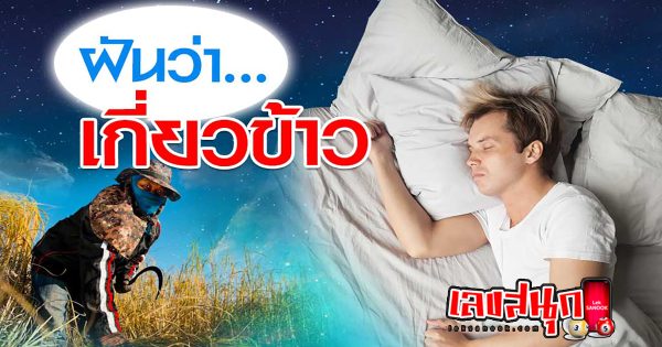 ฝันว่าเกี่ยวข้าว - "fun numbers beliefs"