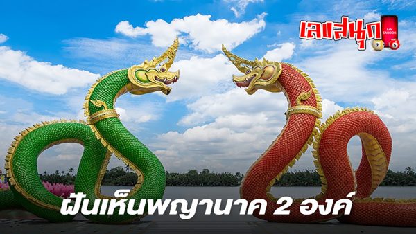ฝันเห็นพญานาค 2 องค์ -"fun numbers beliefs"