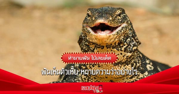 ฝันเห็นตัวเหี้ย - "Dreaming of seeing a bad guy"
