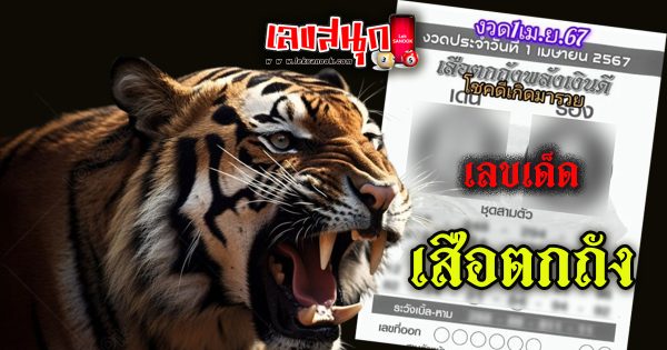 เสือตกถัง -"famous people's fun numbers"