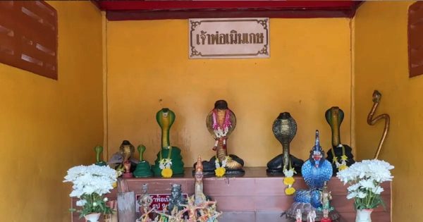 ลุ้นเลขเด็ด แก้บนศาลเจ้าพญางูใหญ่ - "Win lucky numbers to make a vow at the Phaya Ngu Yai Shrine"