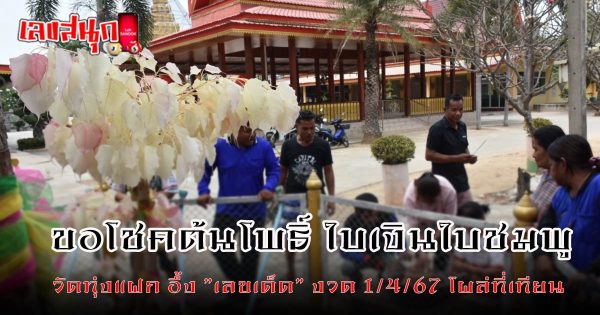 ขอโชคต้นโพธิ์ -"Wish for luck on the Bodhi tree"