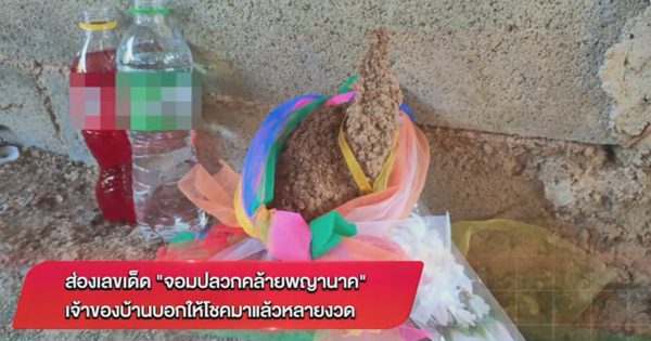 ส่องเลขจอมปลวก-"Look at the termite hill number"