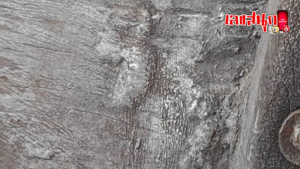 เลขเรือไม้พะยอมโบราณ - " Ancient Sal wooden boat numbers"