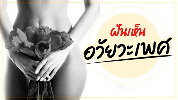ฝันเห็นของลับ -"Dream of seeing a secret item"