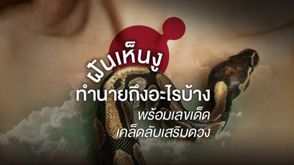 ฝันว่างูใหญ่รัดตัว-"Dreaming of a big snake corseting you"