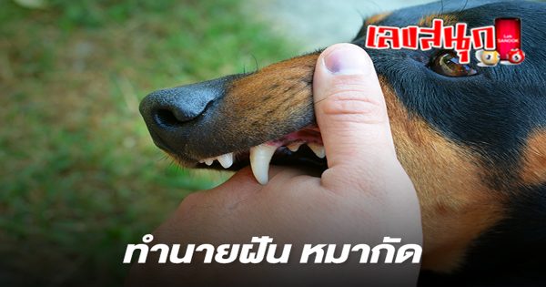 โดนหมากัดมือ-"Got bitten by a dog"