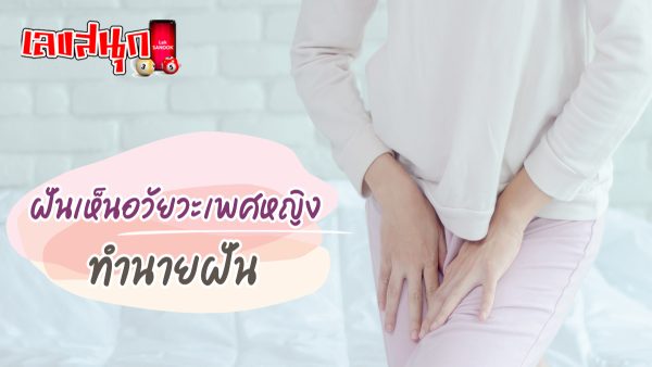 ฝันเห็นอวัยวะเพศหญิง -"fun numbers beliefs"