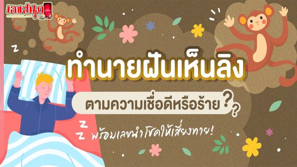 ฝันเห็นลิงหลายตัว-"fun numbers beliefs"