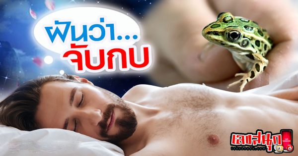 ฝันว่าได้จับกบตัวใหญ่-"Dreamed of catching a big frog"