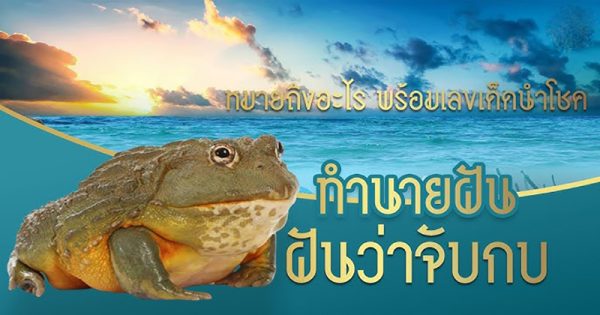 ฝันว่าได้จับกบตัวใหญ่-"Dreamed of catching a big frog"