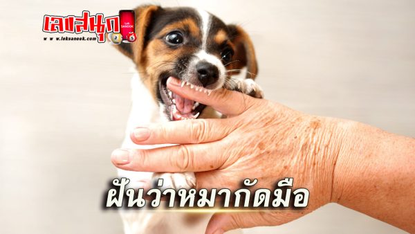 ฝันว่าโดนสุนัขกัดมือซ้าย-"Dreamed that a dog bit my left hand."