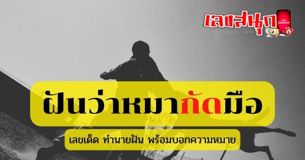 ฝันว่าโดนสุนัขกัดมือ-"fun numbers beliefs"