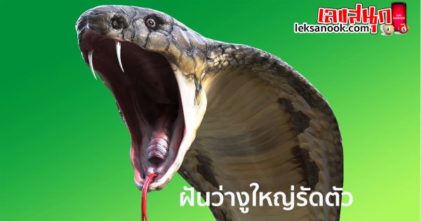 ฝันว่างูใหญ่รัดตัว-"Dreaming of a big snake corseting you"