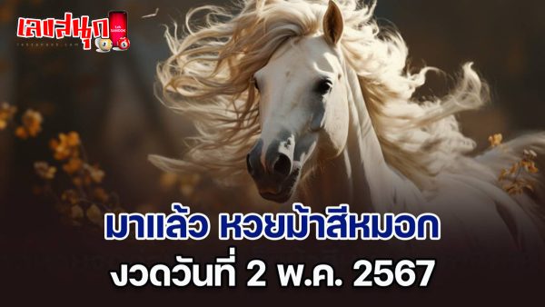 ม้าสีหมอก 2 5 67-"Ma Si Mok 2 5 67"