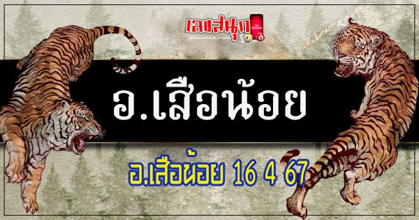 อ.เสือน้อย 16 4 67-"Teacher Noo s number 16 4 67"